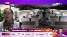 3 questions pour comprendre : Train, la concurrence va-t-elle faire baisser les prix ? - 22/01