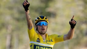 Roglic