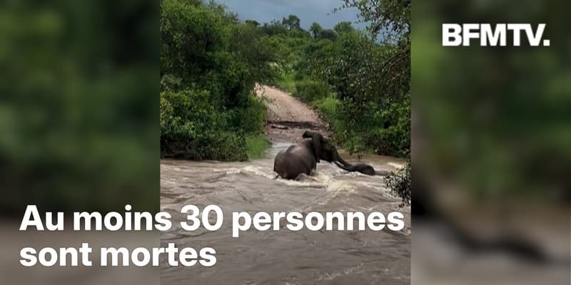En Afrique du Sud, l'état de "catastrophe nationale" a été déclaré après des inondations meurtrières