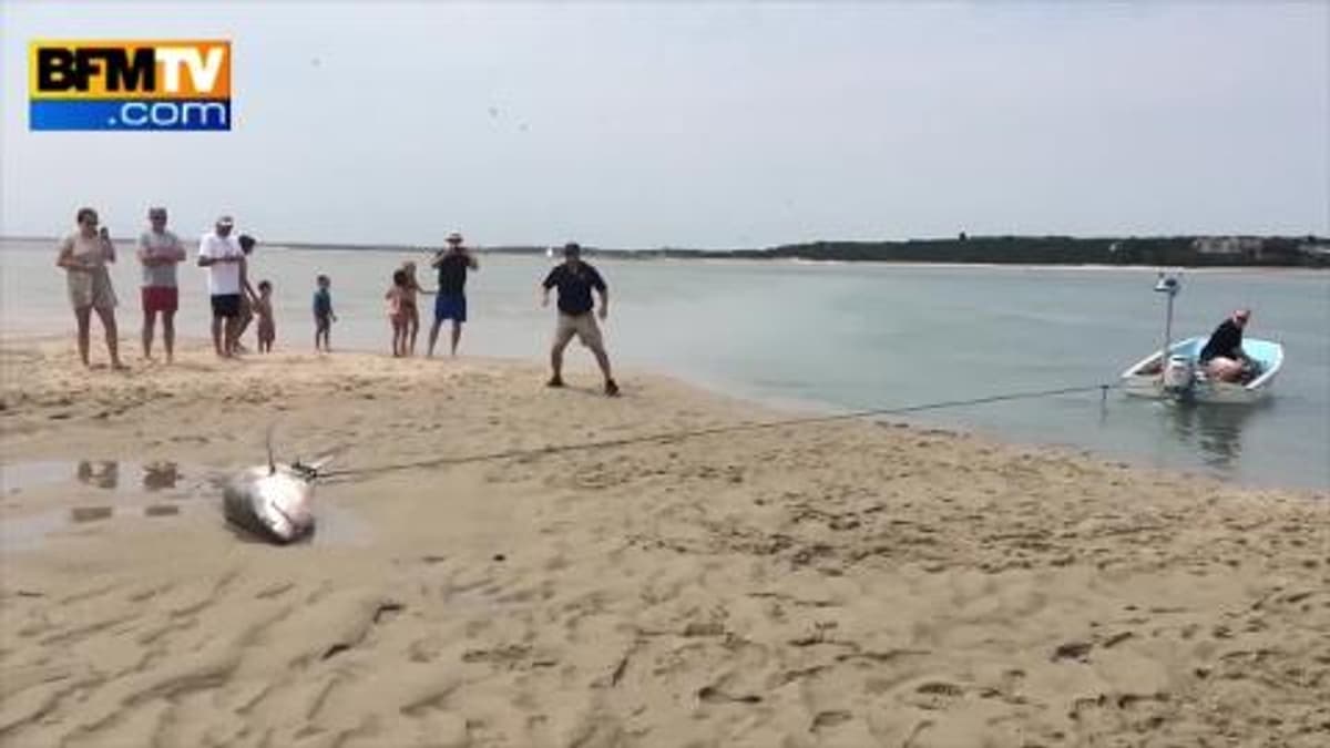 placeholder video