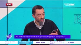 "Qu'est-ce que je vais laisser à mon fils ?" - Des antivols sur la viande et le poisson : logique ? 