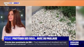Le paillage : protégez et embellissez votre jardin avec style