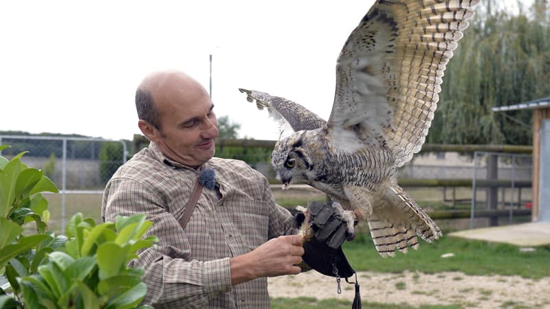 "Une méthode illégale": un célèbre dresseur pour le cinéma accusé de maltraitance sur ses animaux