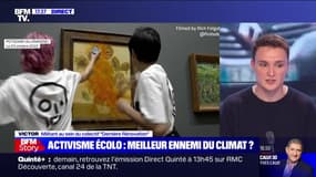 Activisme écologiste: "Toutes les œuvres sont sélectionnées de manière à ce qu'on soit sûr de ne pas les dégrader", assure ce militant