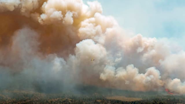 En Nouvelle-Écosse, 16 incendies étaient actifs ce jeudi.