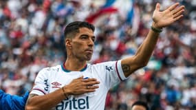 Luis Suarez