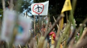 Notre-Dame-des-Landes (Loire-Atlantique), lors d'une manifestation contre le projet de nouvel aéroport, le 8 octobre 2016