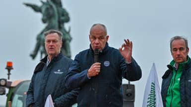 Arnaud Rousseau, président de la FNSEA, prononçant un discours lors d'une manifestation d'agriculteurs devant le château de Versailles, le 26 septembre 2025 (photo d'illustration).