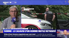 Corps retrouvé dans la Somme: "La description de la scène est effroyable", indique Loïc Bulant, le maire de Pont-de-Metz (Somme)