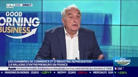 Pierre Goguet (CCI France): Que rôle pour les chambres de commerce et d'industrie ? - 09/11