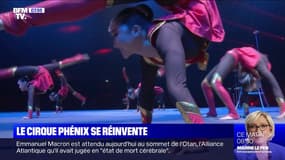 Le Cirque Phenix se réinvente - 03/12