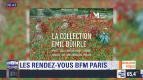 Sortir à Paris : L'exposition "La Collection Bührle" au Musée Maillol