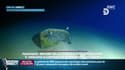 Du plastique retrouvé dans la fosse marine la plus profonde au monde