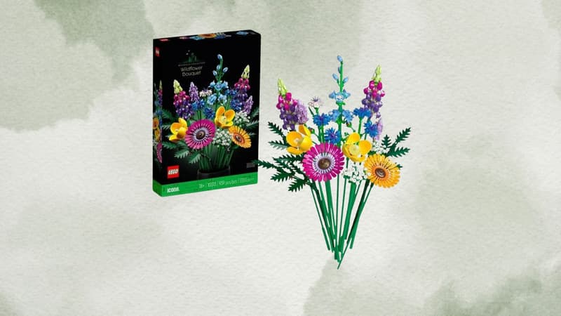 Ce bouquet de fleurs LEGO à petit prix est idéal pour décorer son salon