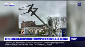 Nord: la circulation des TER interrompue entre Lille Flandres et Douai jusqu'à jeudi matin