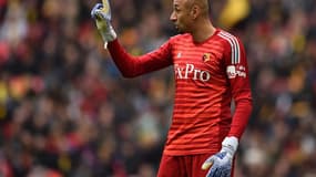Gomes