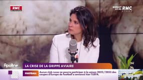 Nicolas Poincaré : La crise de la grippe aviaire - 03/05