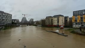 Crue de l'Ille au passage de la dépression Herminia, le 26 janvier 2025 à Rennes