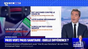 "Pass vert", "pass sanitaire": de quoi s'agit-il ? BFMTV répond à vos questions