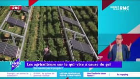 C’est quoi le progrès ? : Les agriculteurs sur le qui-vive à cause du gel - 04/04