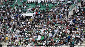 Des supporters de l'Algérie