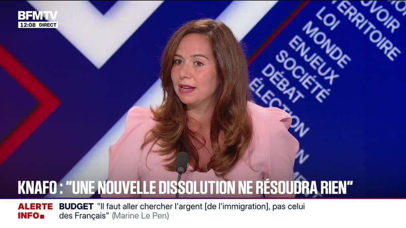 BFM Politique Dimanche 7 septembre 2025 2133529