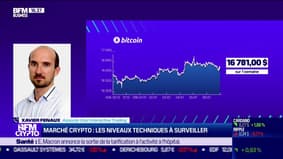 "Le marché des cryptos est en hibernation"