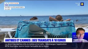 Alpes-Maritimes: des transats à 10 euros sur certaines plages de Cannes et d'Antibes