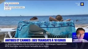 Alpes-Maritimes: des transats à 10 euros sur certaines plages de Cannes et d'Antibes