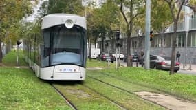 Un tramway à Marseille (photo d'illustration).