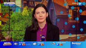 Le journal de 8h du jeudi 20 novembre 2025