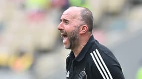 Djamel Belmadi lors du match Algérie-Sierra Leone à la CAN 2022