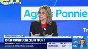 Le Grand entretien : Crédits carbone, le retour ? - 24/04