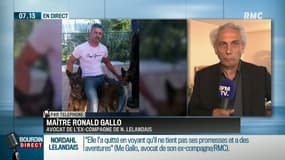 "Monsieur Lelandais va lui foncer délibérément dessus"