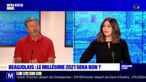 Denis Chilliet, vigneron à Denicé parle du millésime 2021 du Beaujolais