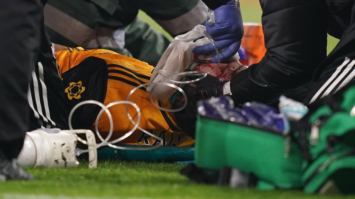 Raul Jimenez Raul Jimenez