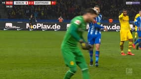 Ibisevic