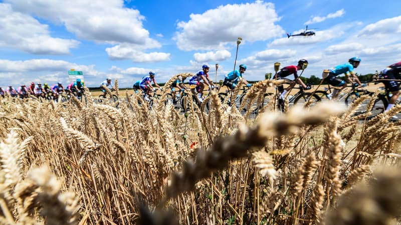 Peloton