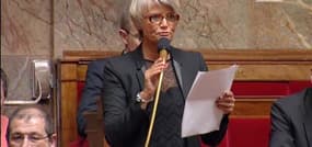 Les députés écologistes "témoignent émotion et gratitude" à Christiane Taubira