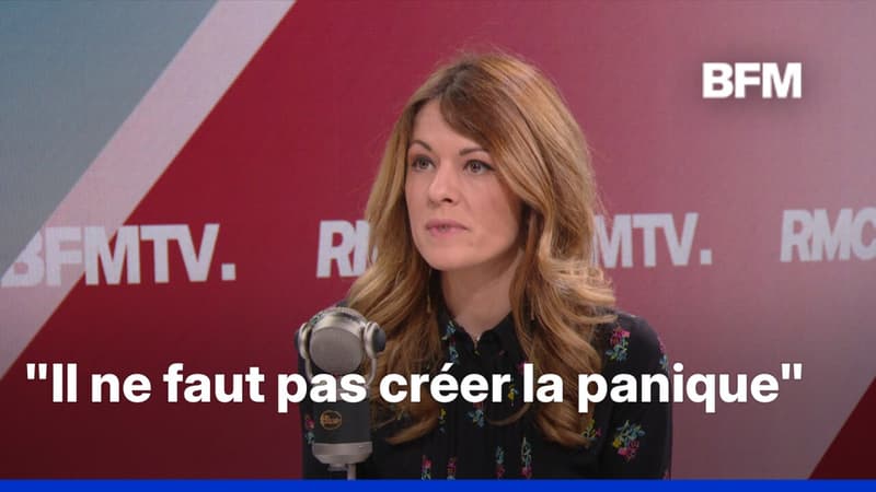 Hantavirus: la porte-parole du gouvernement annonce qu'une Française a été testée positive