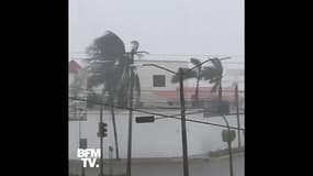 Mexique: L'ouragan Delta cause de nombreux dégâts