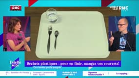 On n'arrête pas le progrès : Déchets plastiques... pour en finir, mangez vos couverts ! - 29/05