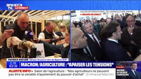 Salon de l'agriculture: "Les présidents passent, le porc noir de Bigorre reste", remarque avec un trait d'humour cet éleveur du sud-ouest