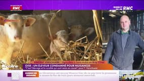 Le parti-pris : Oise, un éleveur condamné pour nuisances - 06/05