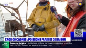 Cros-de-Cagnes: pêcher du poisson frais et de saison