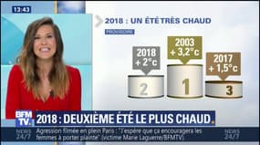 L’été 2018 est le deuxième plus chaud de l’histoire en France