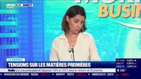 Tensions sur les matières premières: 