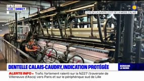 La dentelle de Calais-Caudry devient la première indication géographique des Hauts-de-France