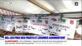 En raison du gel, les commerçants anticipent des retards de production et une flambée des prix des fruits et légumes