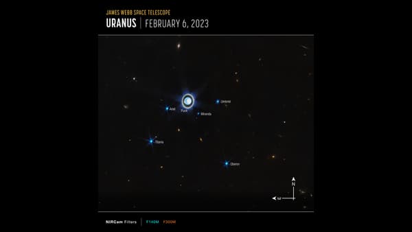 Vue élargie du système uranien avec l'instrument NIRCam de Webb montre la planète Uranus ainsi que six de ses 27 lunes connues.